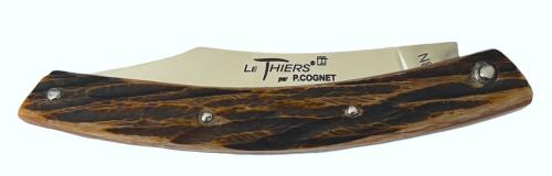 Le Thiers par P.Cognet en os de chameau teinté cerfé