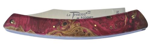 Le Thiers par P.Cognet : loupe de marronnier stabilisé